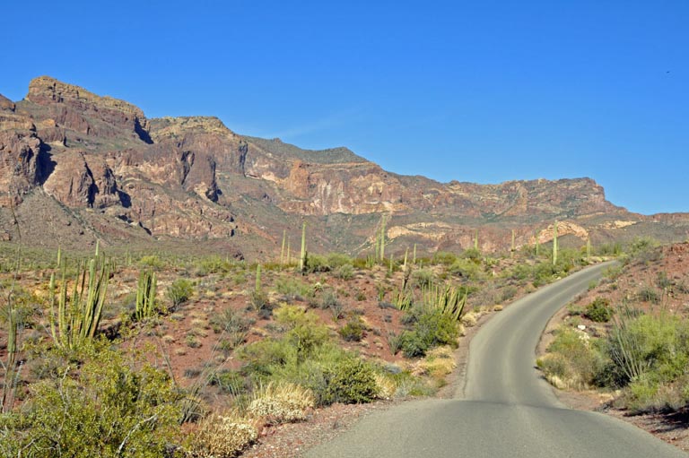 Organ Pipe Cactus National Monument