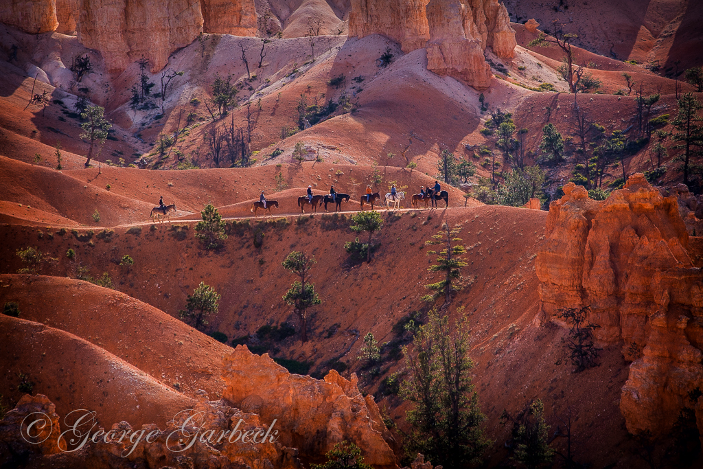 On the Trail