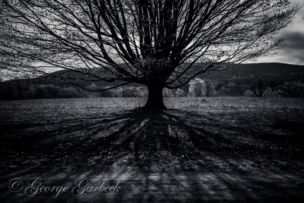 Shadows