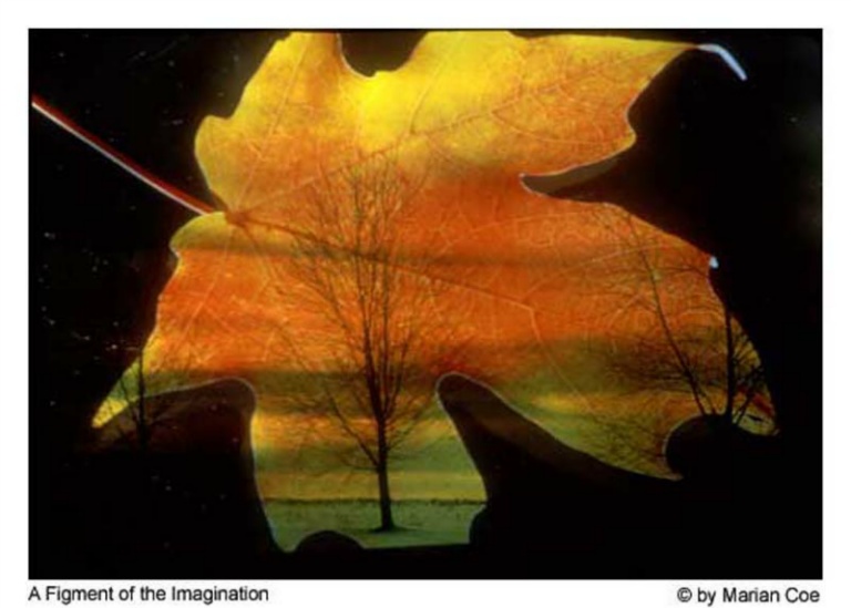 AFigmentof the Imagination