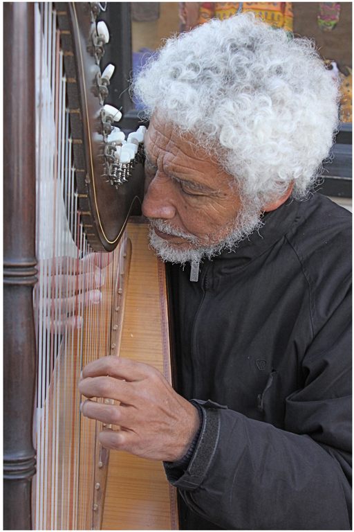 Quebec Harp