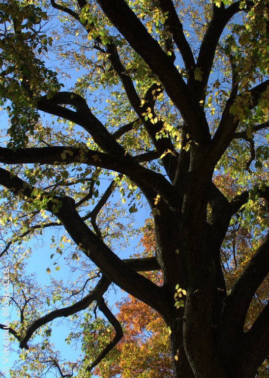 20111016 2267