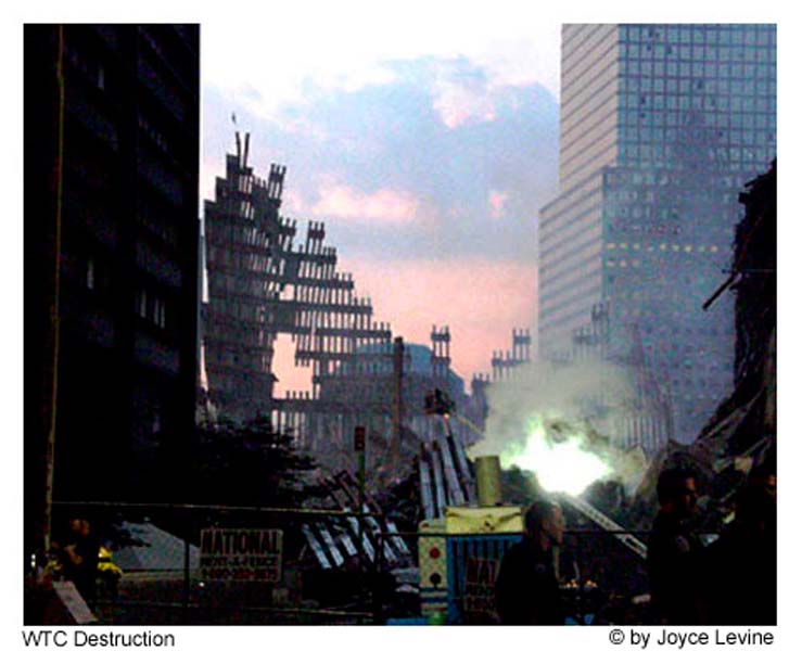 WTCdestruction1