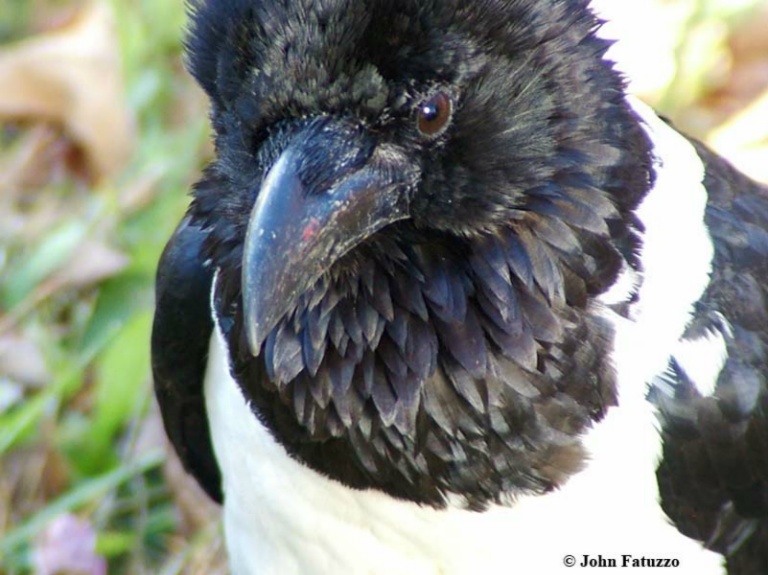DSCF3364