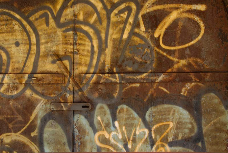  DSC4631