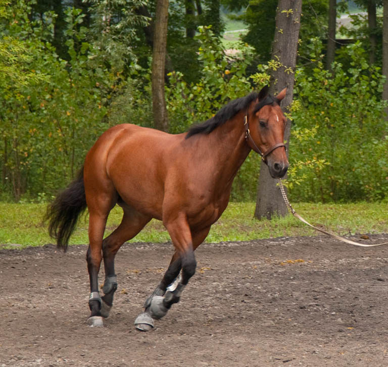  MG 1619