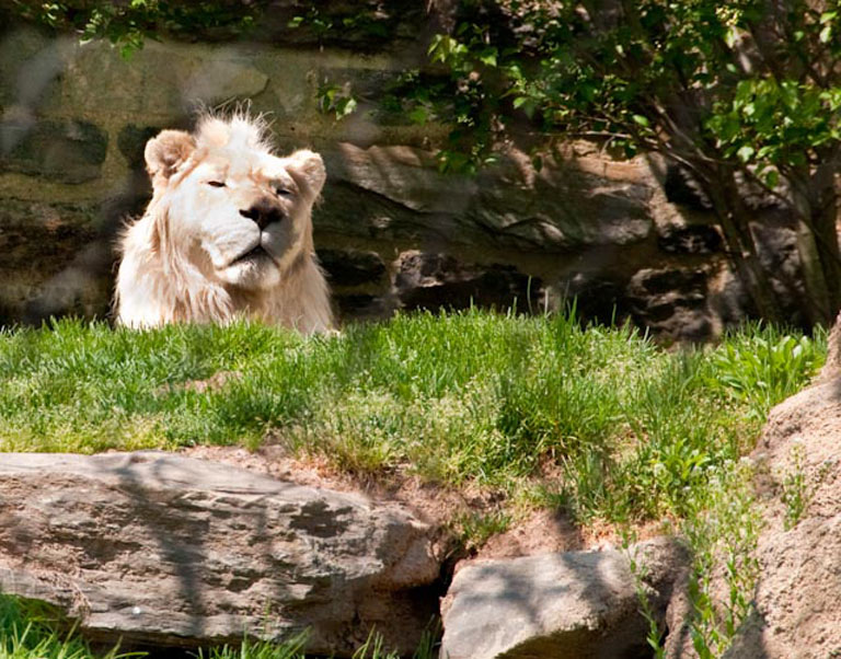 20100416 PhillyZoo 28