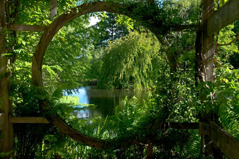 DSC0015