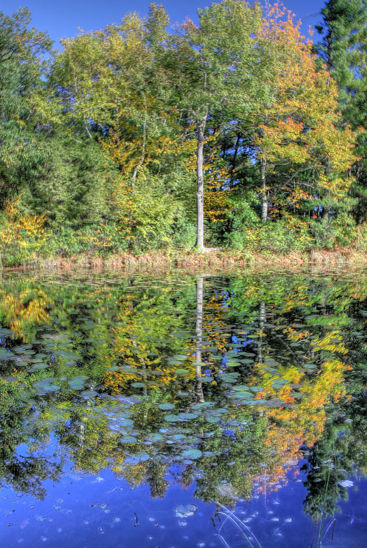 IMG 4804 5 6 tonemapped resized