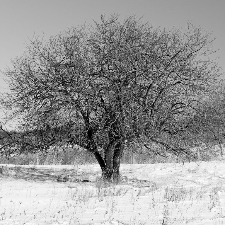 2011 01 13 Blackwater Falls