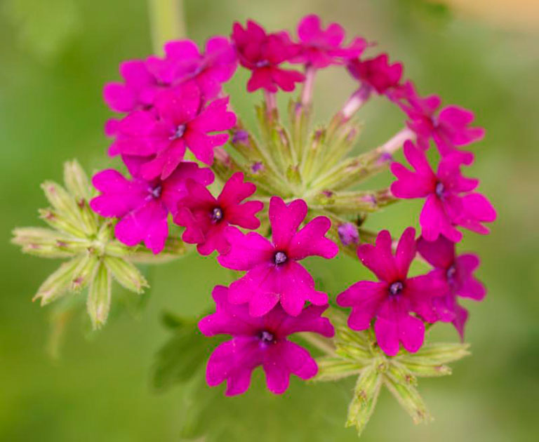 Dsc00333a