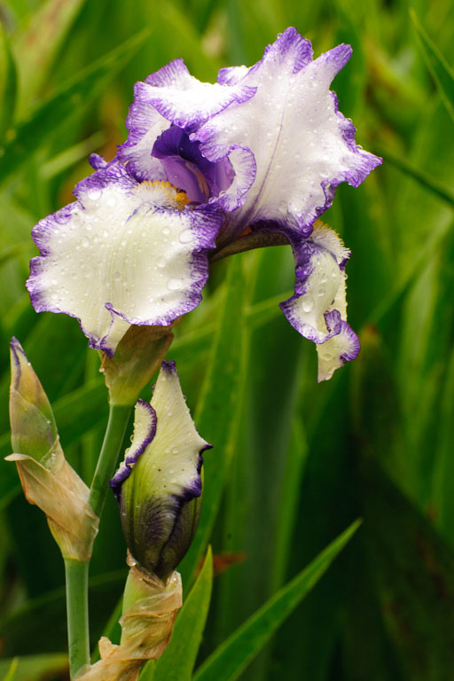 20110522 014