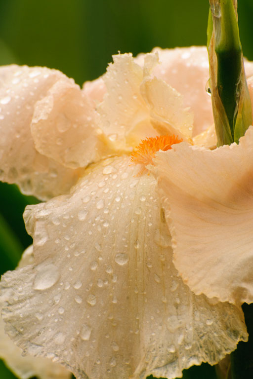 20110522 094