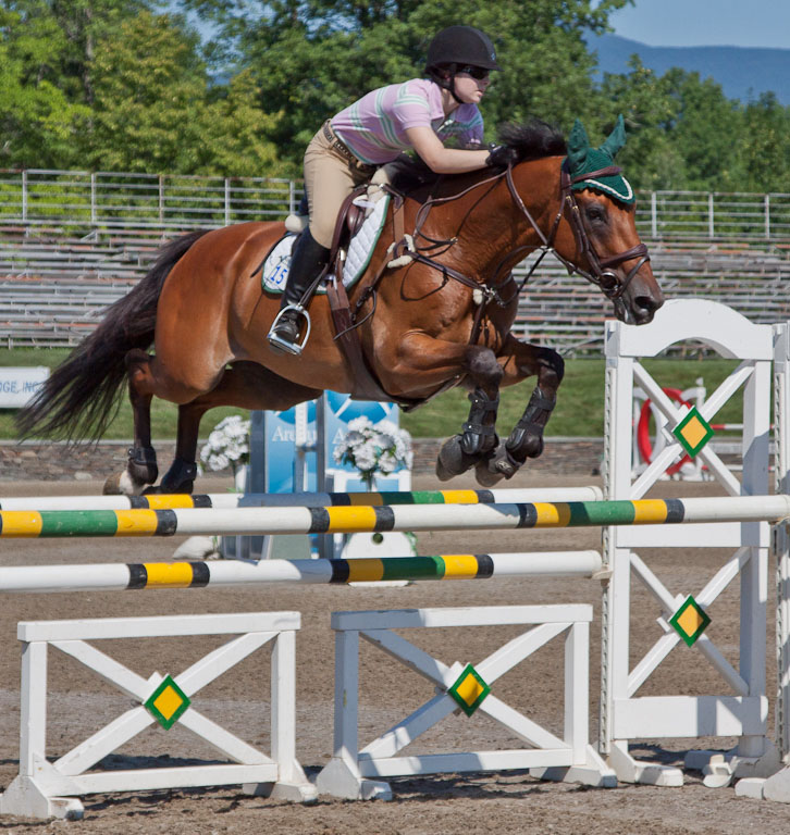 07 HorseJumping 9337