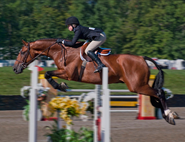 DSC 0088eeLR