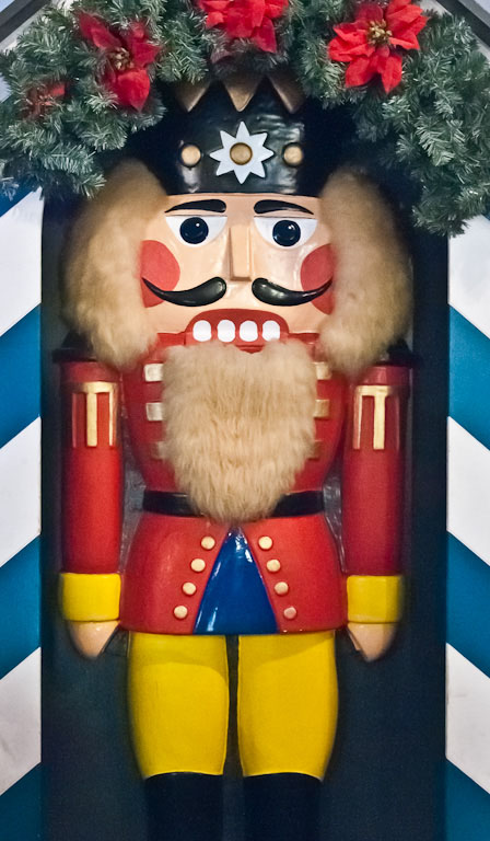  dsc8602
