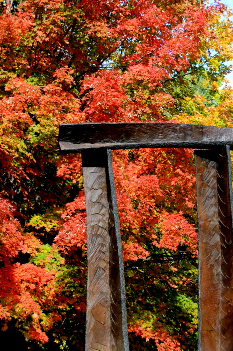DSC 4132