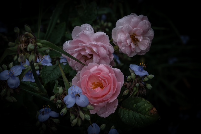 Stuart Waldrum