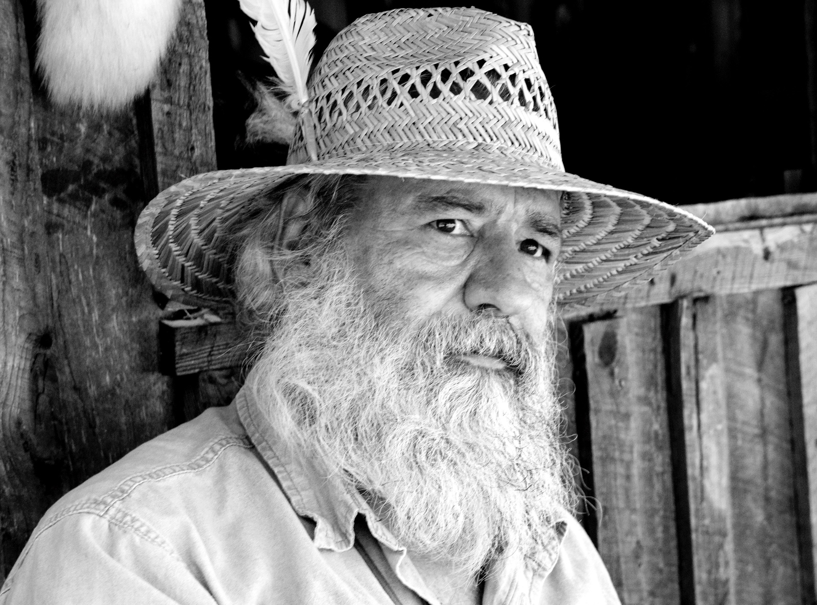 Armando Arturo