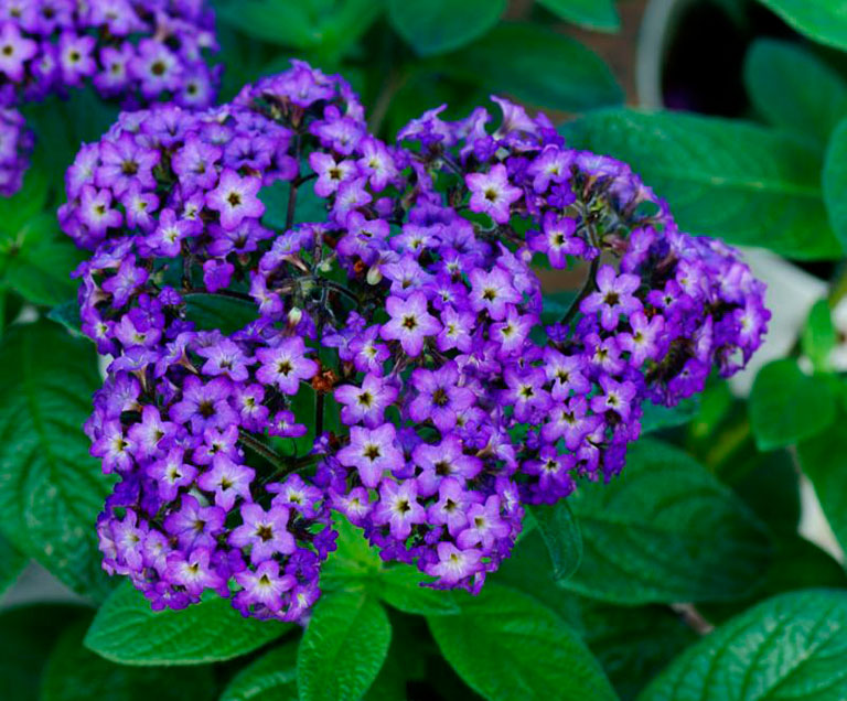 Dsc00341a