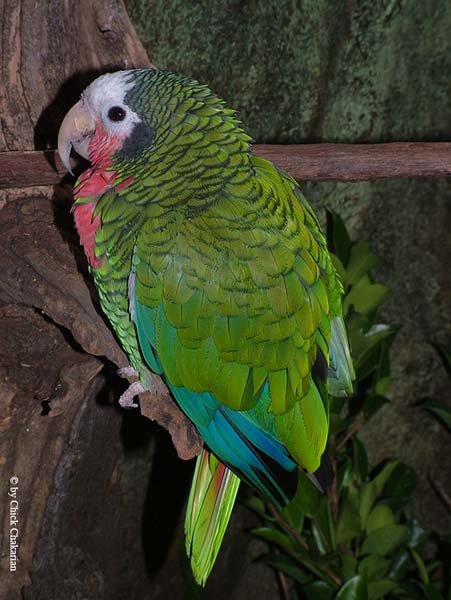 DSCF0756