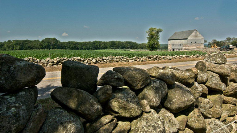 ButtonWoodFarms 3