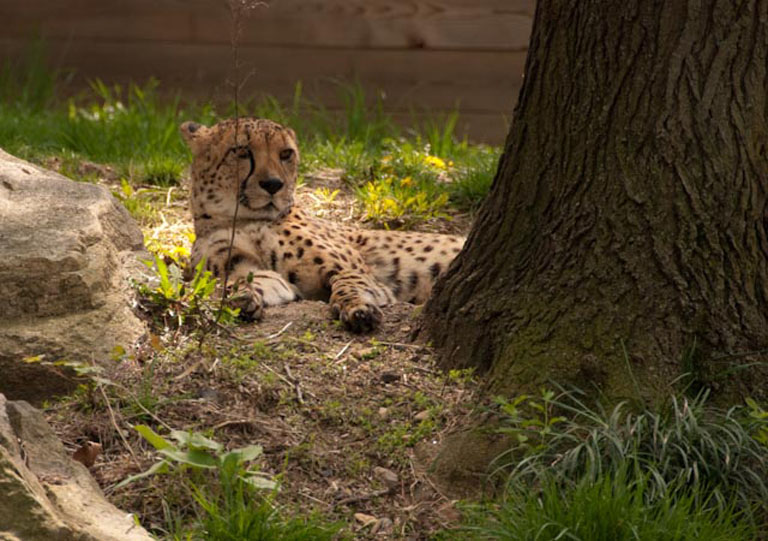 20100416 PhillyZoo 42