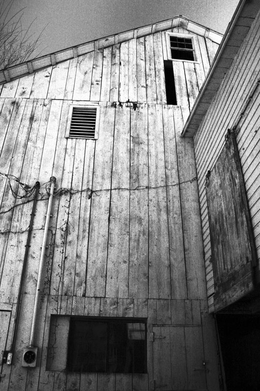 Img 7122 bw