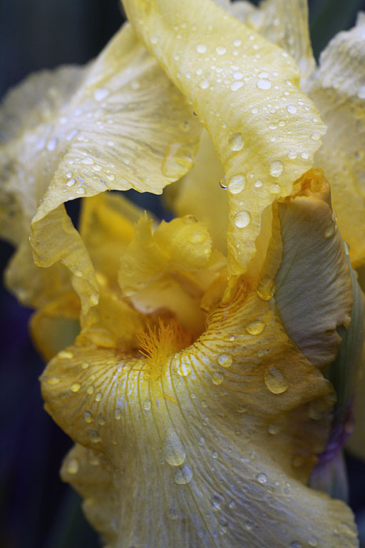 Img 7300 1 r