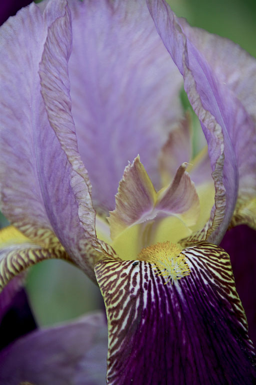 Img 7642 2r