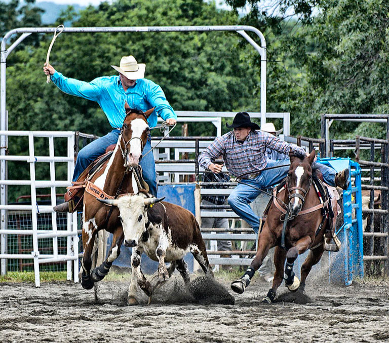 Rodeo6 jschilling