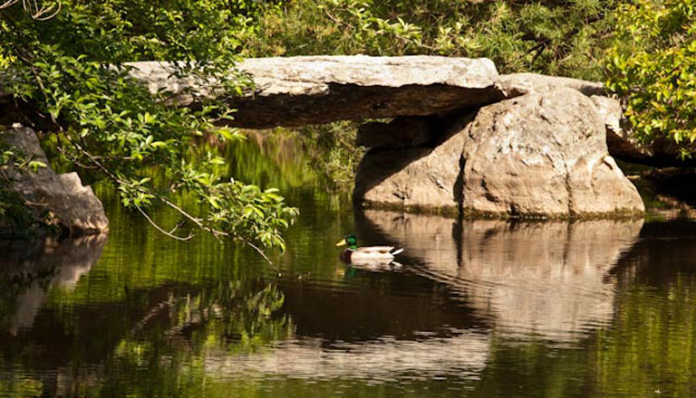 20100515 StoneCropGardens 19