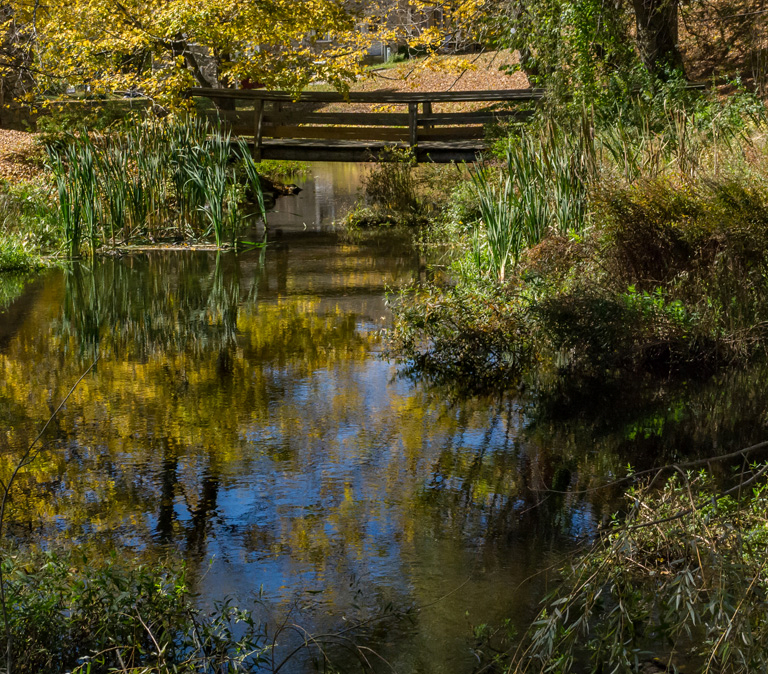 Gene 3