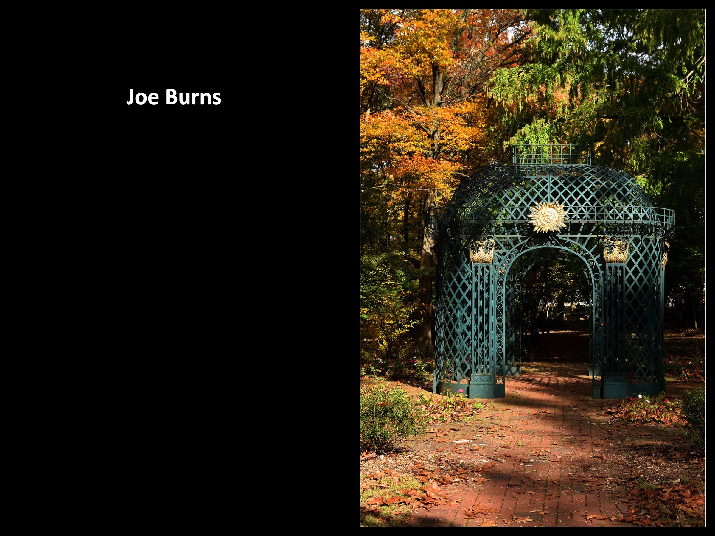 Slide015