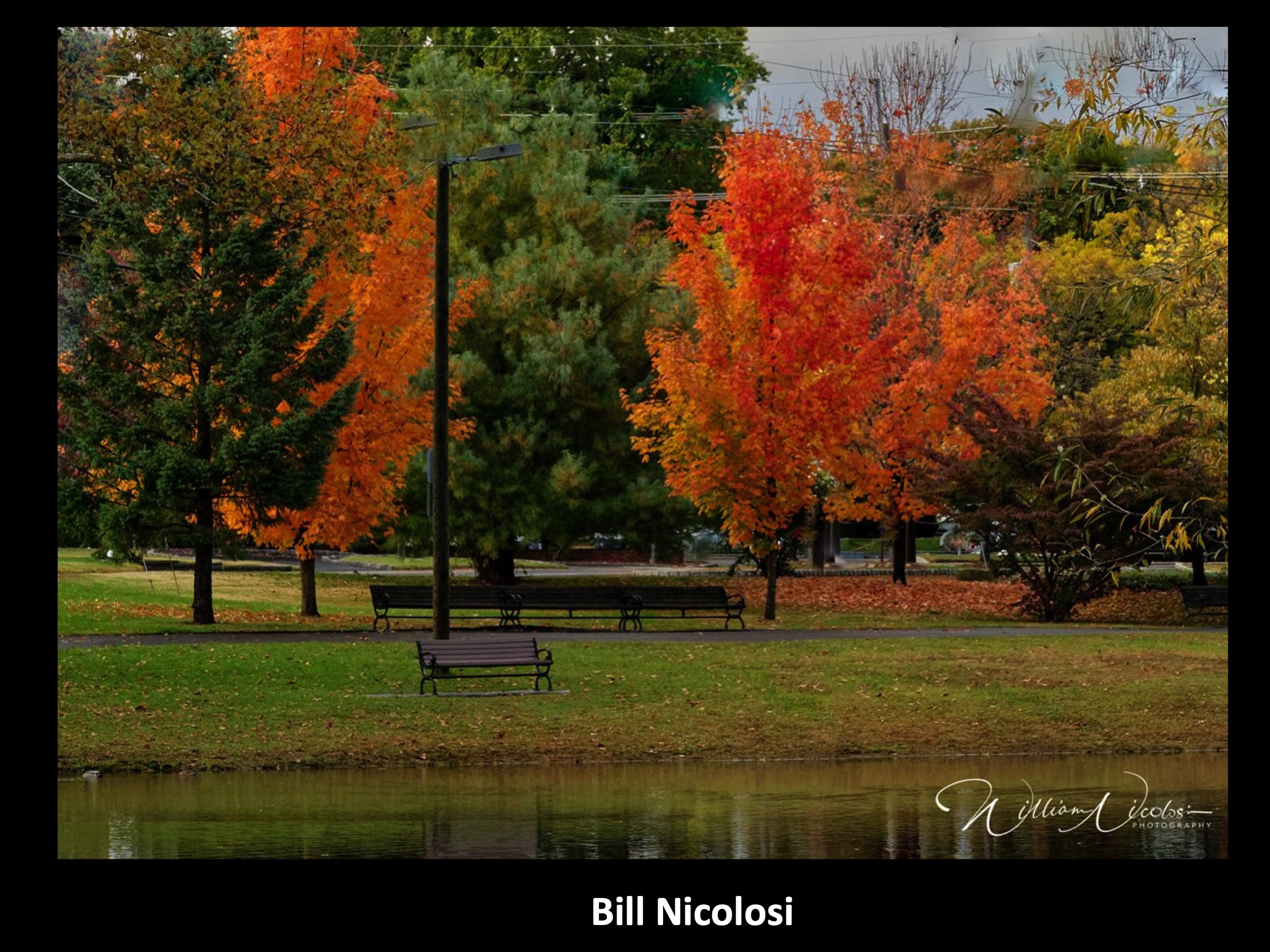 Slide065