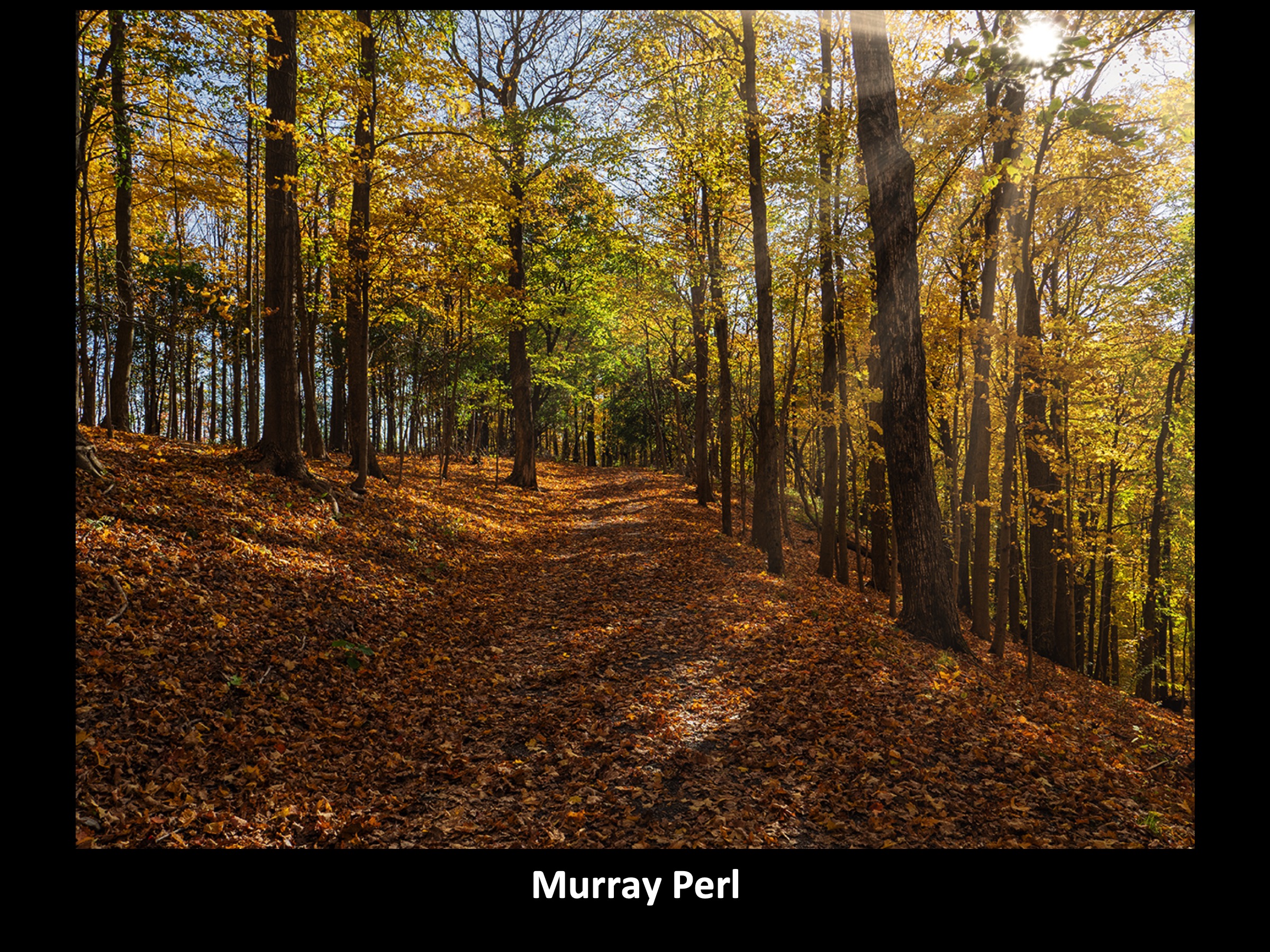 Slide081