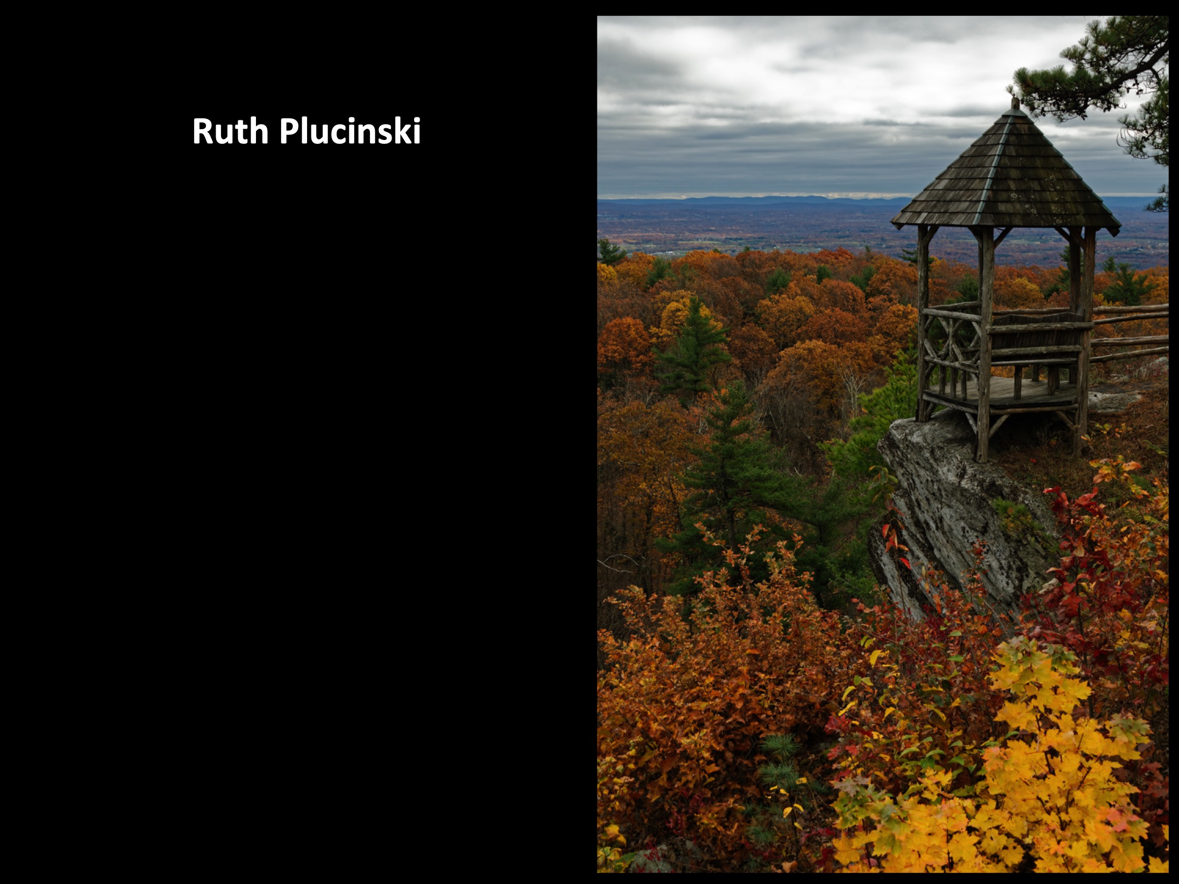 Slide085
