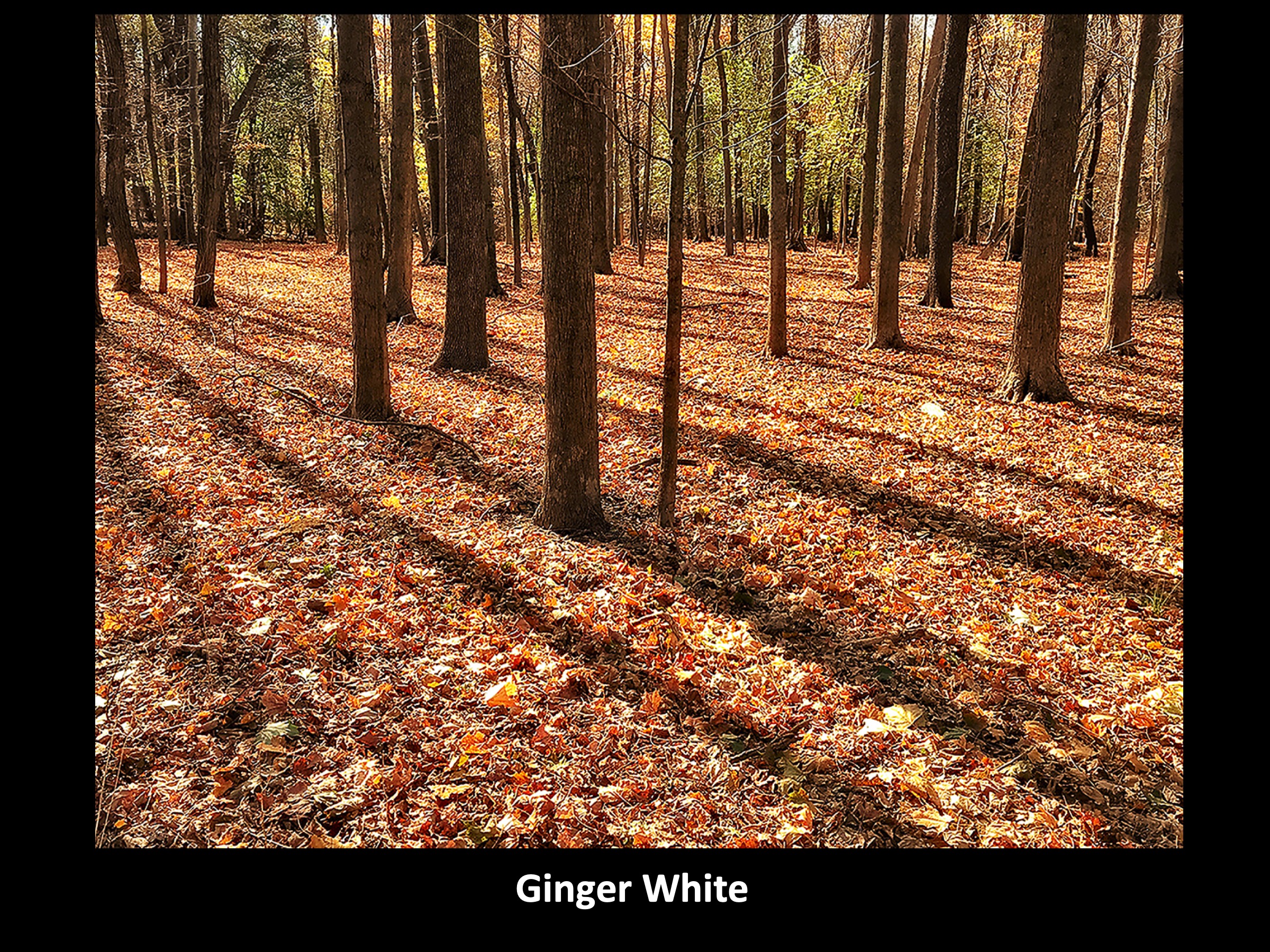 Slide129