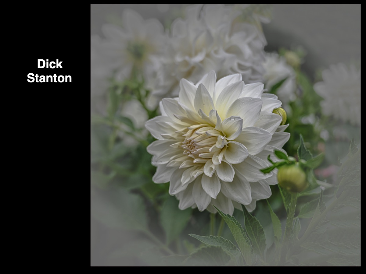 Slide099