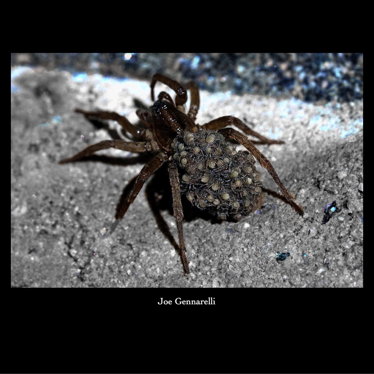 Slide41