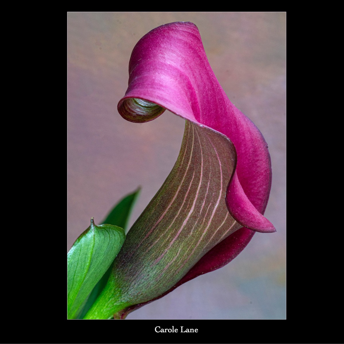 Slide75