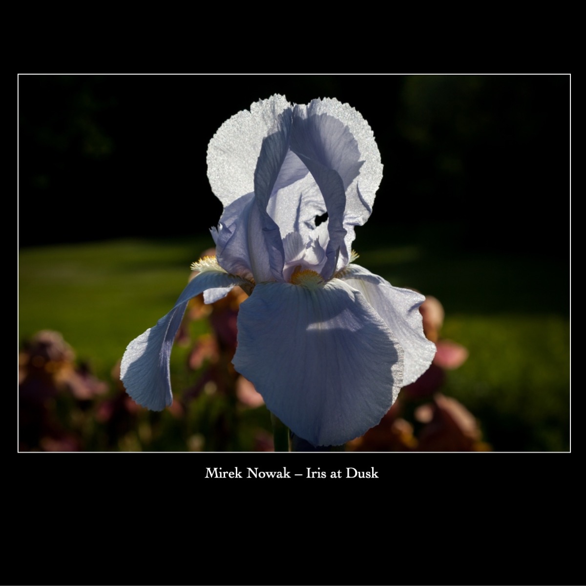 Slide99