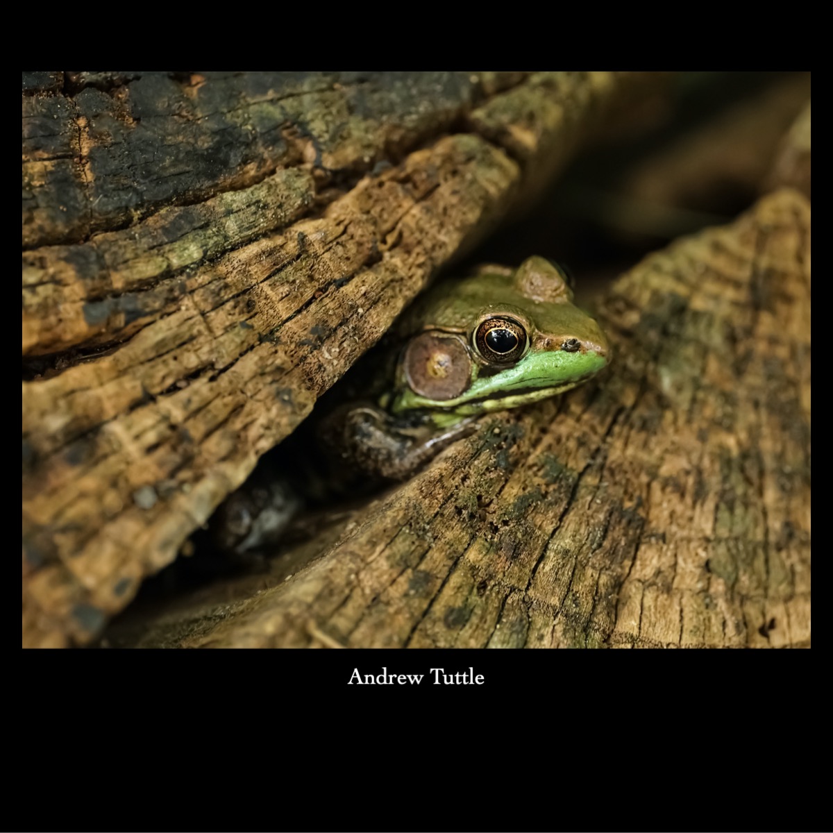 Slide144
