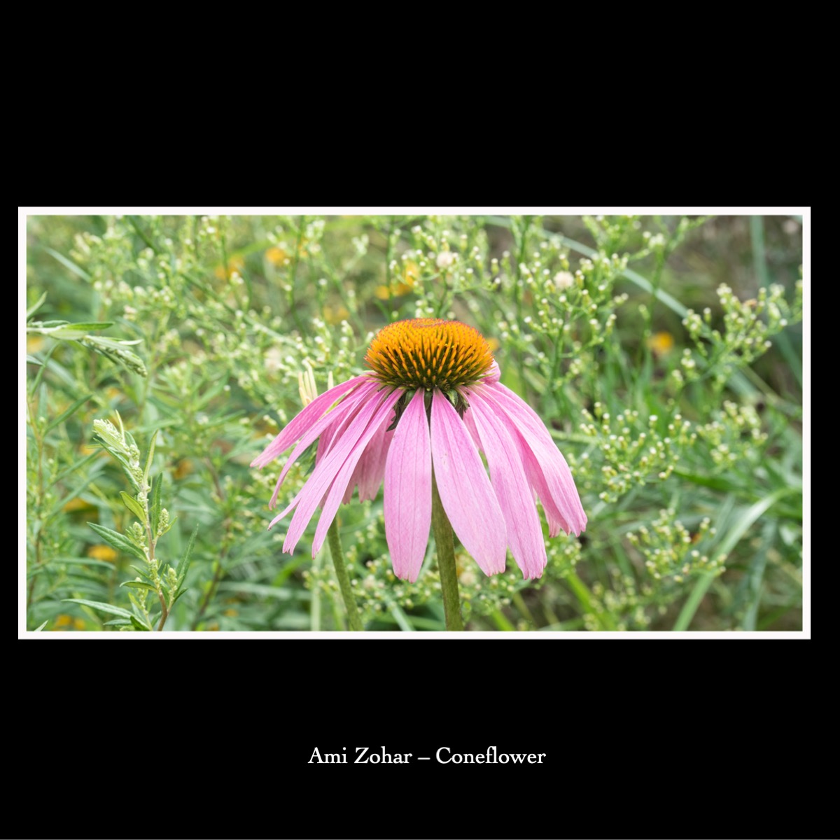 Slide158