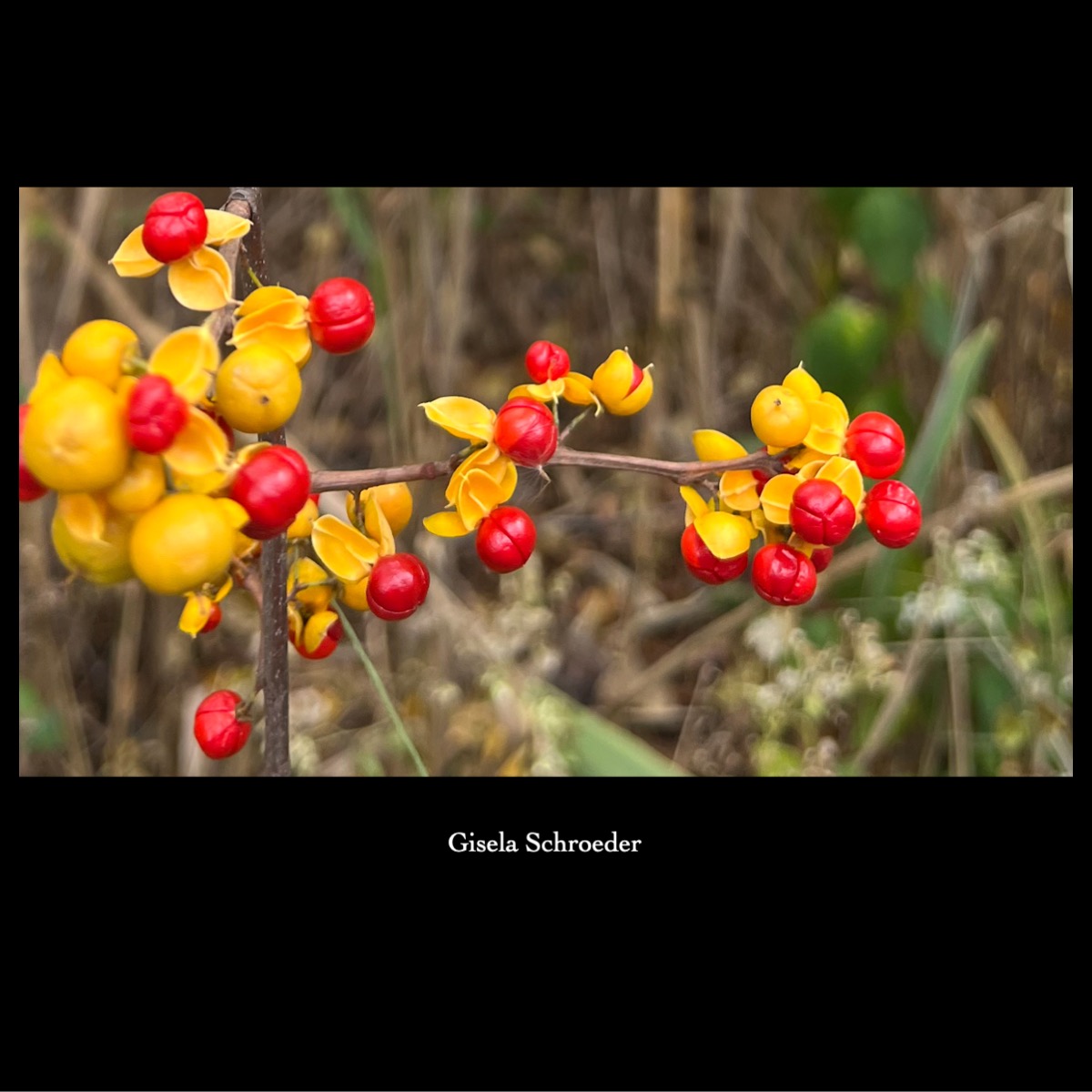 Slide63