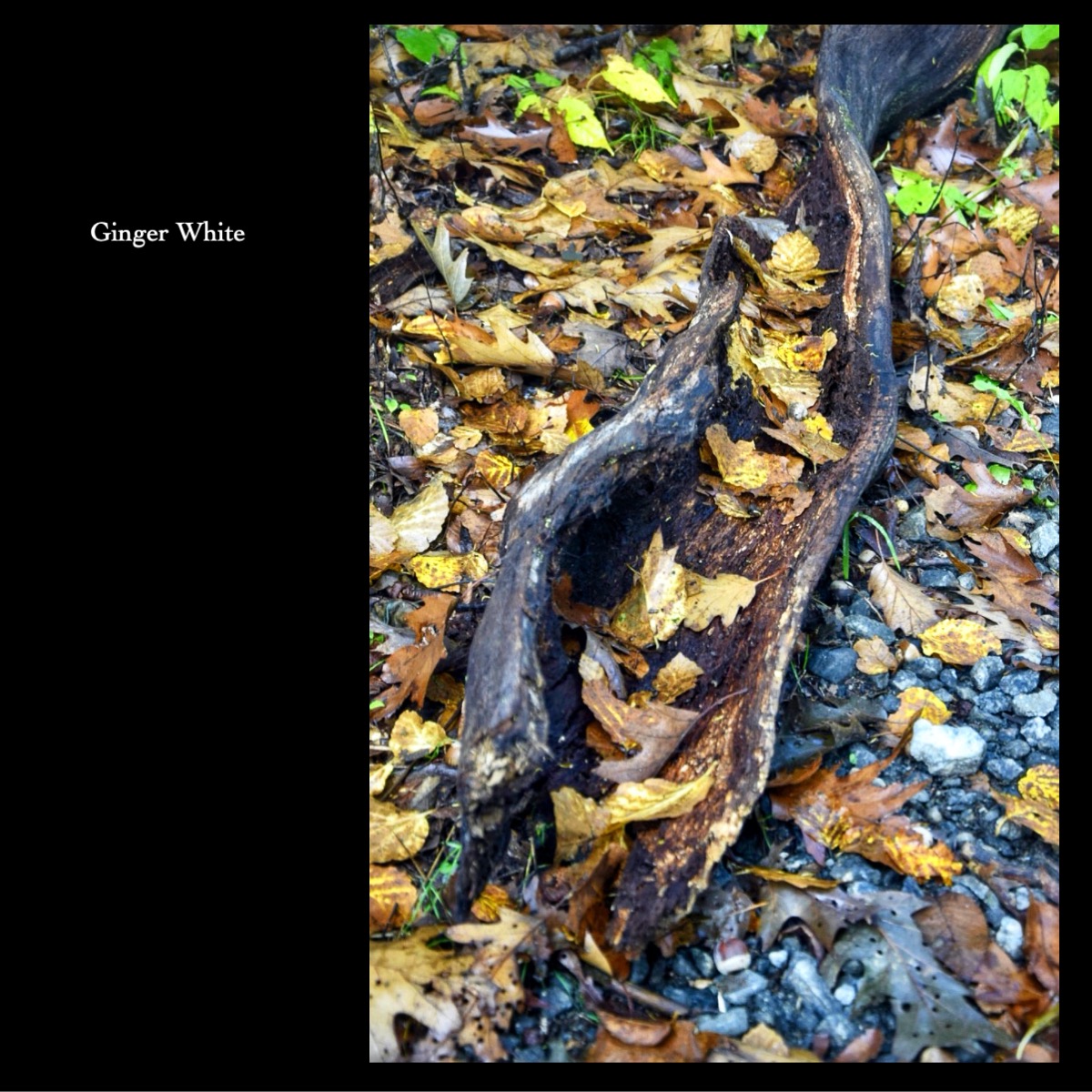 Slide73