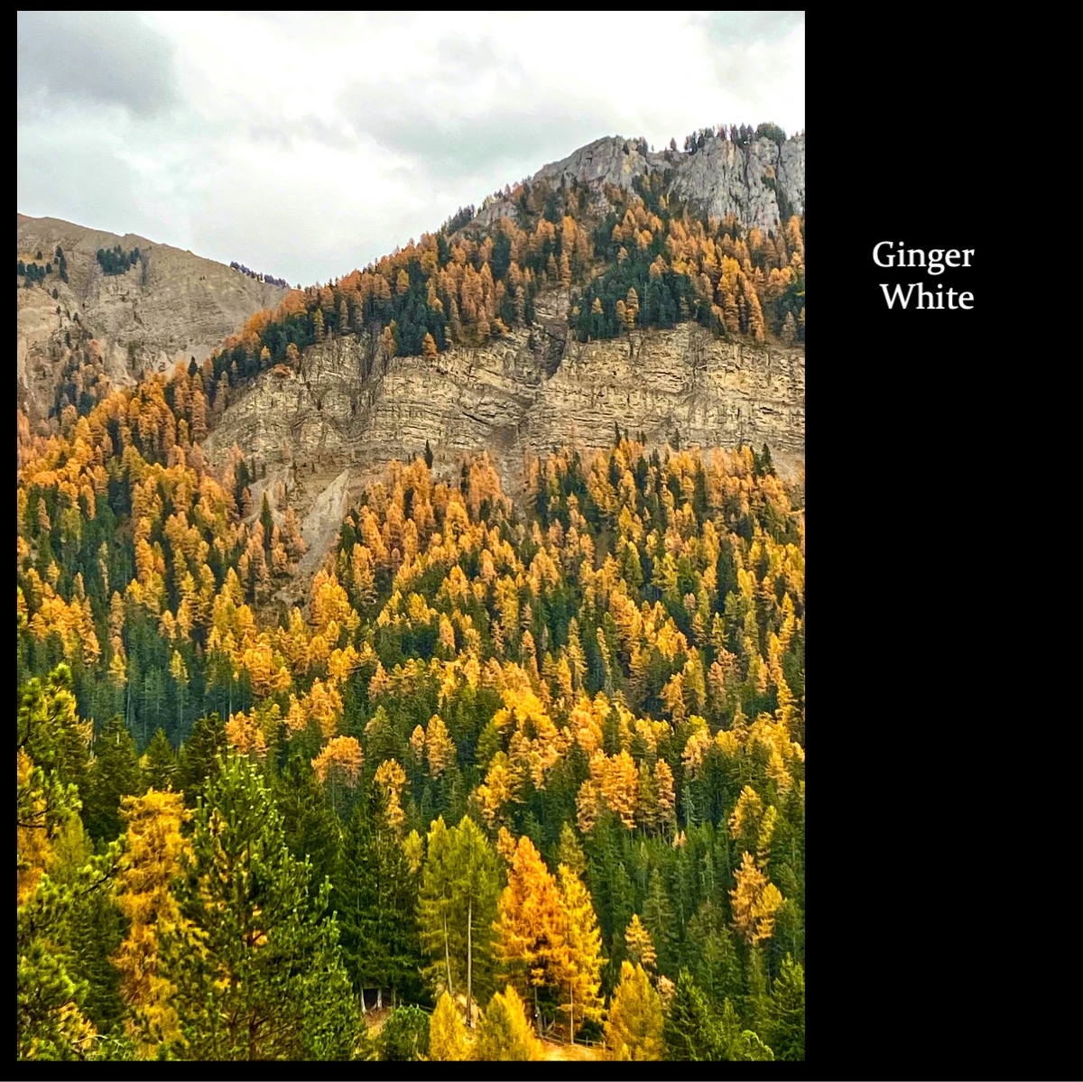 Slide110