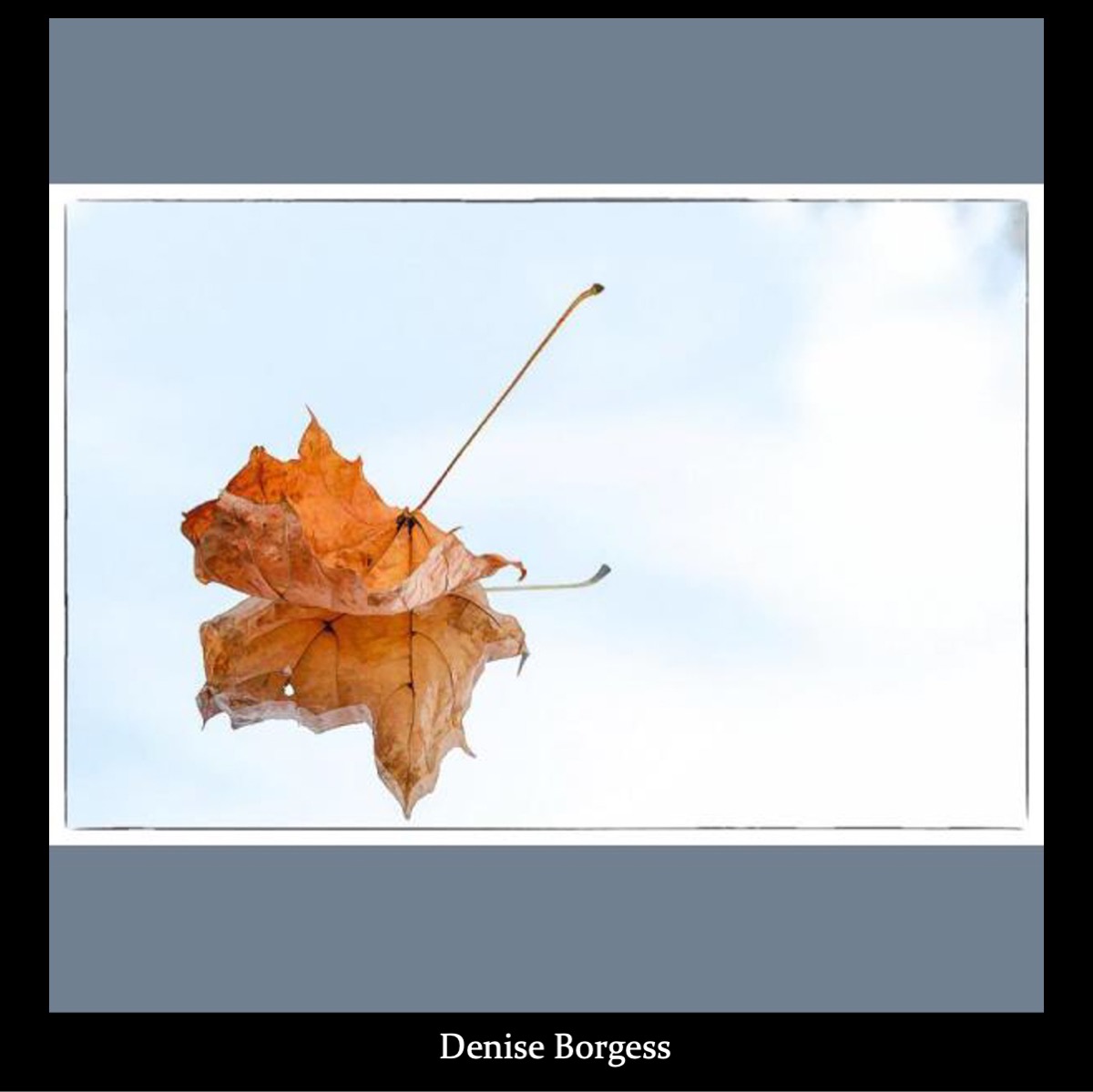 Slide14