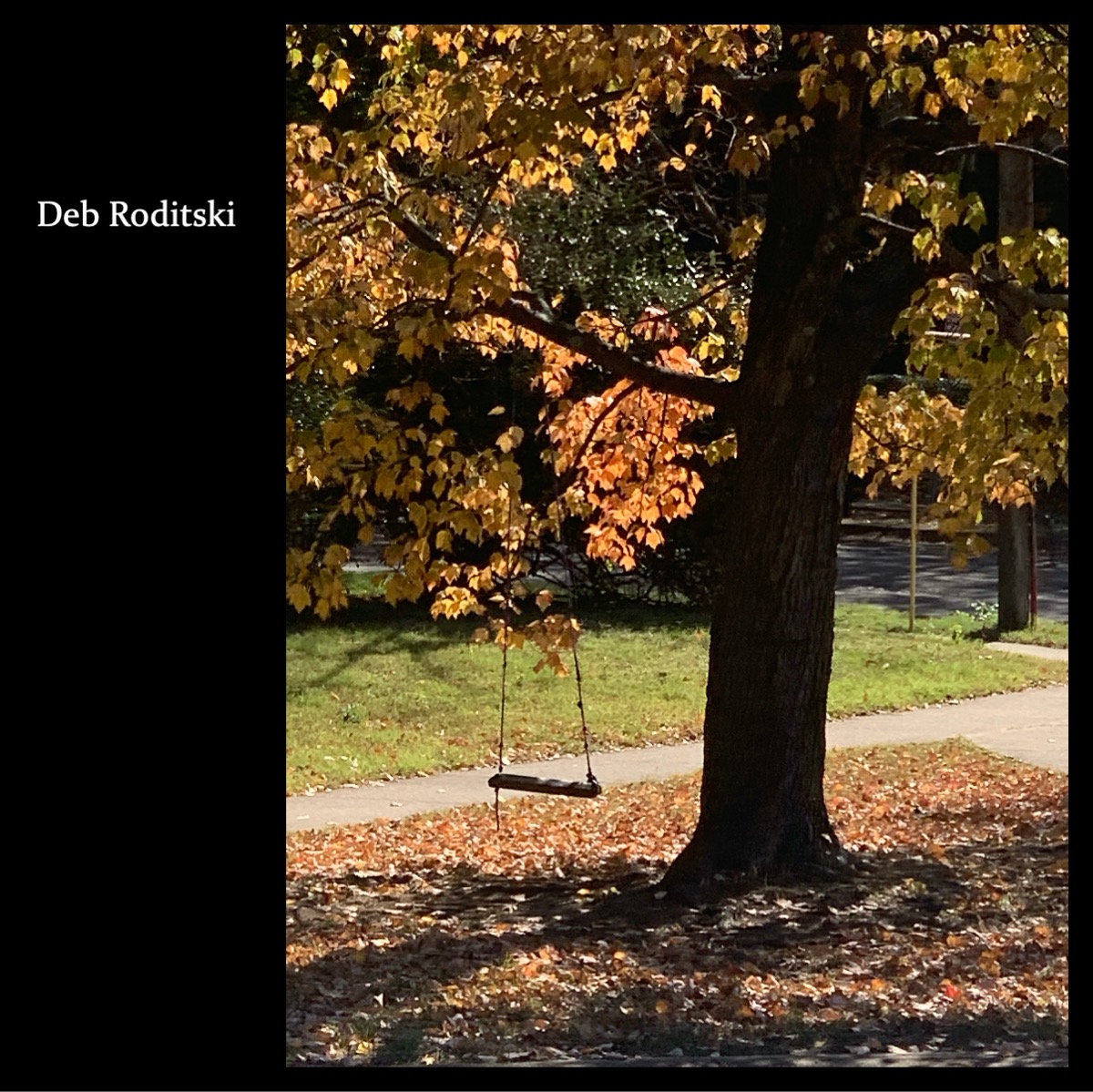 Slide87