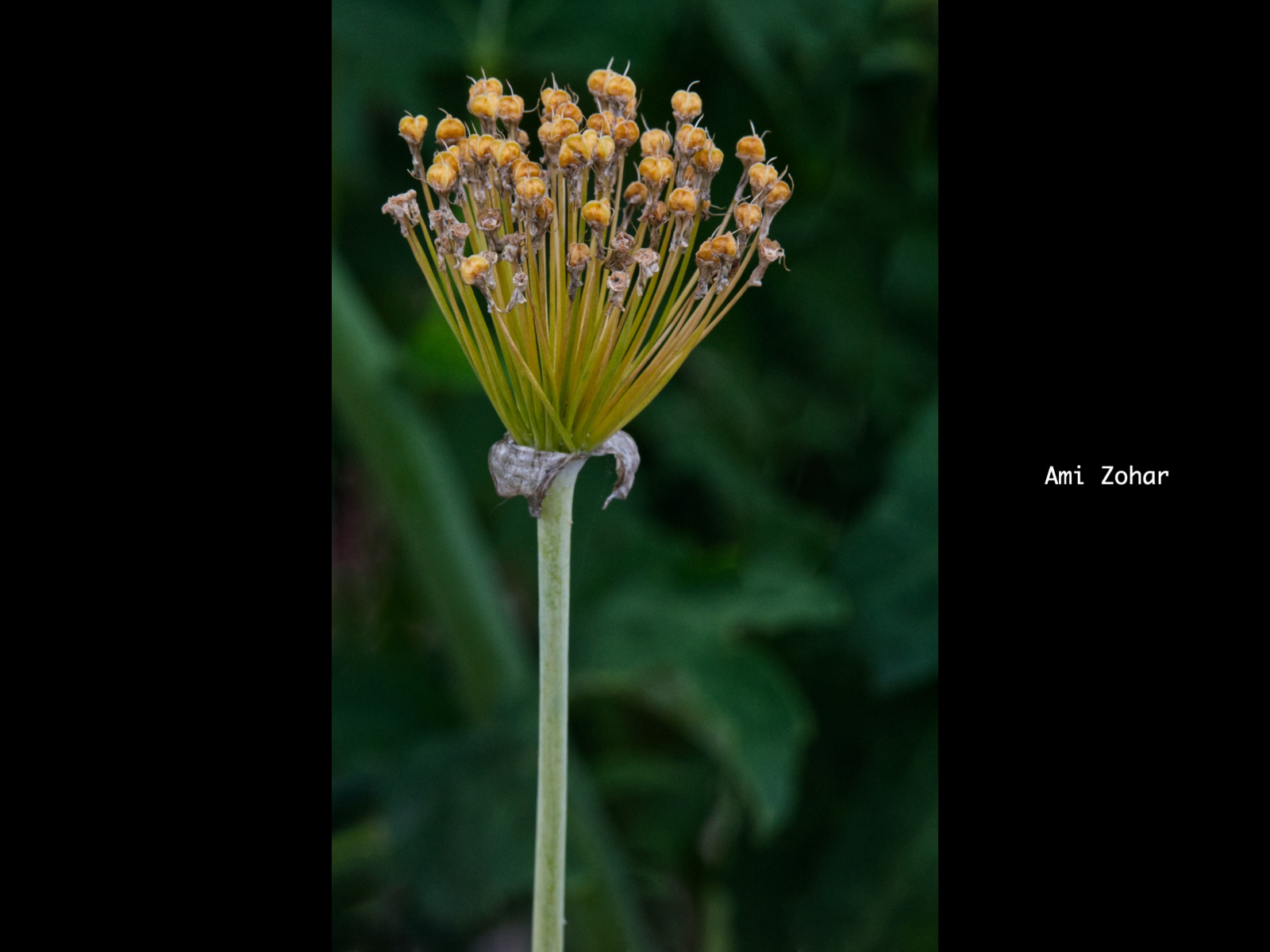 Slide153